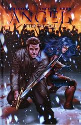 Angel: After the Fall: Volume Three