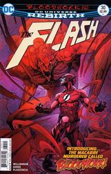 The Flash #30