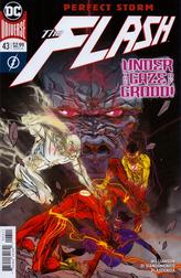 The Flash #43