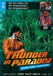 Thunder in Paradise: Disc 6