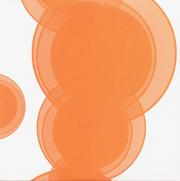 That '70s Show: Season 5: Disc 3