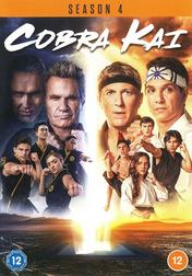 Cobra Kai: Season 4: Disc 1 Cobra Kai: Season 4: Disc 1