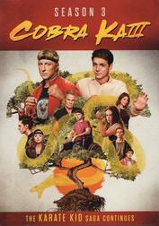 Cobra Kai: Season 3: Disc 1 Cobra Kai: Season 3: Disc 1