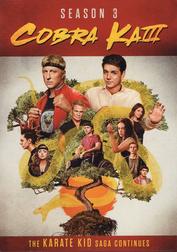 Cobra Kai: Season 3: Disc 1