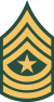 Sergeant Major