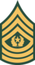 Command Sergeant Major