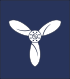 Senior aircraftman/woman