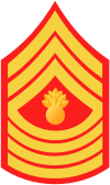 Master Gunnery Sergeant