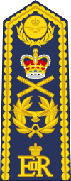 Marshal of the Royal Air Force