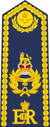 Air Vice-Marshal